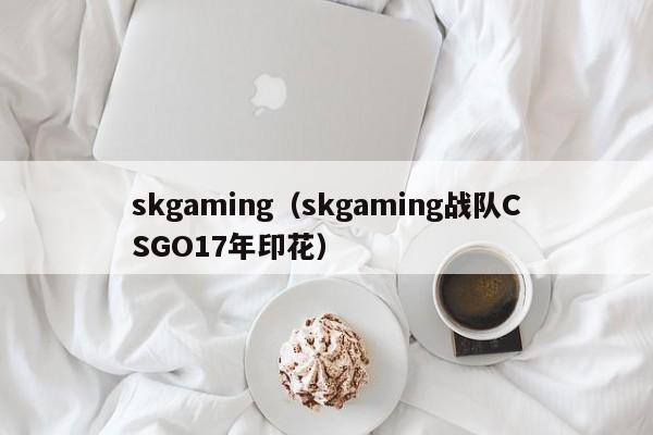 skgaming（skgaming战队CSGO17年印花）